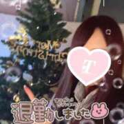 ヒメ日記 2025/12/06 05:08 投稿 瑛紗（てれさ） 今日、私はあなたの部下（マーベリックグループ）