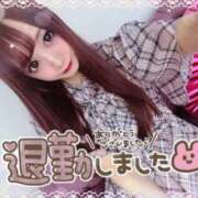 ヒメ日記 2025/12/29 05:18 投稿 瑛紗（てれさ） 今日、私はあなたの部下（マーベリックグループ）