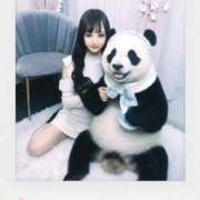 瑛紗（てれさ） 🐼明日、部下の日🎀🎶 今日、私はあなたの部下（マーベリックグループ）