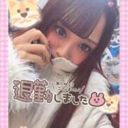 ヒメ日記 2026/02/11 05:08 投稿 瑛紗（てれさ） 今日、私はあなたの部下（マーベリックグループ）