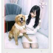 ヒメ日記 2026/02/17 23:48 投稿 瑛紗（てれさ） 今日、私はあなたの部下（マーベリックグループ）