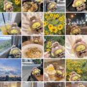 ヒメ日記 2026/09/14 19:58 投稿 瑛紗（てれさ） 今日、私はあなたの部下（マーベリックグループ）