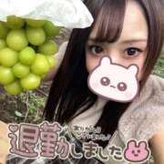 ヒメ日記 2026/09/22 05:18 投稿 瑛紗（てれさ） 今日、私はあなたの部下（マーベリックグループ）
