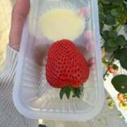 ヒメ日記 2026/04/15 07:40 投稿 みら 横浜人妻ヒットパレード（シンデレラグループ）