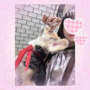 ヒメ日記 2025/04/27 19:07 投稿 花梨かりん 西川口風俗ド淫乱ンド