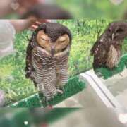 ヒメ日記 2025/11/29 17:51 投稿 花梨かりん 西川口風俗ド淫乱ンド