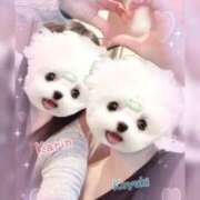 ヒメ日記 2026/02/01 23:44 投稿 花梨かりん 西川口風俗ド淫乱ンド