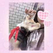 ヒメ日記 2026/02/07 19:48 投稿 花梨かりん 西川口風俗ド淫乱ンド