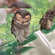 ヒメ日記 2026/08/24 10:25 投稿 花梨かりん 西川口風俗ド淫乱ンド