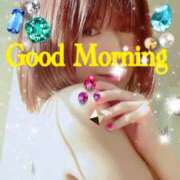 ヒメ日記 2025/02/19 10:00 投稿 宝生芽依 ドクトル・ストレッチ