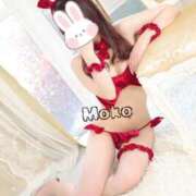 ヒメ日記 2025/05/11 23:00 投稿 もこ The White