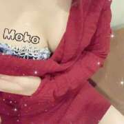 ヒメ日記 2025/10/06 23:00 投稿 もこ The White