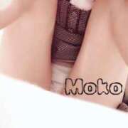 ヒメ日記 2025/12/29 18:00 投稿 もこ The White