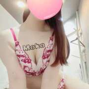 ヒメ日記 2026/01/04 18:00 投稿 もこ The White