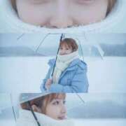 ヒメ日記 2026/01/24 23:00 投稿 もこ The White