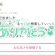 ヒメ日記 2026/06/21 21:13 投稿 もこ The White