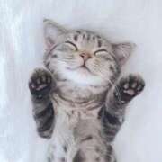 朝倉みこ 今週の出勤予定 セレブ嬉野