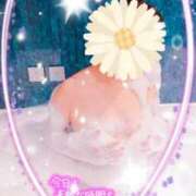 ヒメ日記 2024/12/28 23:02 投稿 ちな 奥様の実話 梅田店