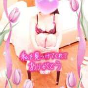 ヒメ日記 2025/05/06 23:43 投稿 ちな 奥様の実話 梅田店