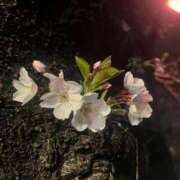 雫 久しぶりの日記､､📖 熟女の風俗最終章　鶯谷店