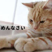 ヒメ日記 2025/02/22 12:45 投稿 いおり 一夜妻