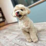 ヒメ日記 2025/01/28 13:16 投稿 佐々木あゆ メンズエステ錦糸町@彼女はエステシャン