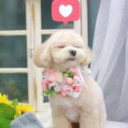 ヒメ日記 2025/02/11 16:32 投稿 佐々木あゆ メンズエステ錦糸町@彼女はエステシャン