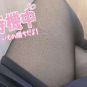 ヒメ日記 2025/03/17 11:48 投稿 こはる ぷるるんギャング