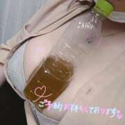 ヒメ日記 2025/04/27 20:25 投稿 こはる ぷるるんギャング