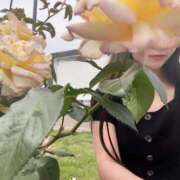 ヒメ日記 2025/05/22 02:50 投稿 あいる メンズエステ・VIVIANA♀HAND高松店