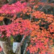 あいる 😔 メンズエステ・VIVIANA♀HAND高松店