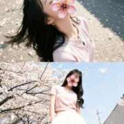 ヒメ日記 2026/04/05 21:35 投稿 あいる メンズエステ・VIVIANA♀HAND高松店