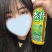 ヒメ日記 2025/03/15 19:25 投稿 なみ S級しろうと娘