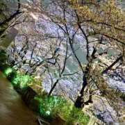 ヒメ日記 2026/04/05 17:28 投稿 KONOMI GINGIRA☆TOKYO～ギンギラ東京～