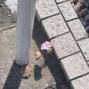 ヒメ日記 2025/05/02 00:16 投稿 心（ココロ） アバンチュール(五反田)