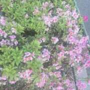 ヒメ日記 2025/05/05 15:16 投稿 心（ココロ） アバンチュール(五反田)