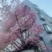 心（ココロ） ??? アバンチュール(五反田)