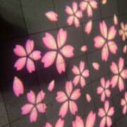 ヒメ日記 2026/04/13 01:01 投稿 心(ココロ) アバンチュール(五反田)