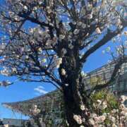 ヒメ日記 2025/02/28 15:47 投稿 あいり 素人系イメージSOAP彼女感大宮館