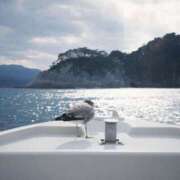 ヒメ日記 2026/01/16 14:48 投稿 あいり 素人系イメージSOAP彼女感大宮館