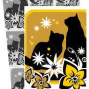 ヒメ日記 2025/01/06 10:54 投稿 るな 進撃の妻