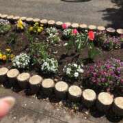 ヒメ日記 2025/04/25 13:13 投稿 るな 進撃の妻