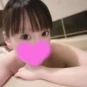 ヒメ日記 2025/04/06 00:19 投稿 白河 さくら カサノヴァ