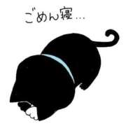 白河 さくら 😭 カサノヴァ