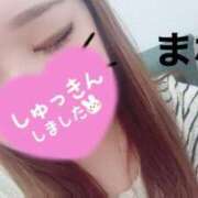 ヒメ日記 2025/09/27 12:07 投稿 まな 豊満奉仕倶楽部