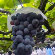 えな 久々の写メ日記〜♡ クラブアリア -CLUB ARIA-