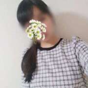 ヒメ日記 2025/03/14 00:19 投稿 つむぎ ドキドキアロマ