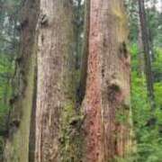 ヒメ日記 2025/08/06 20:34 投稿 みほ マリン宮殿水戸店