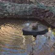 ヒメ日記 2026/01/12 22:24 投稿 みほ マリン宮殿水戸店