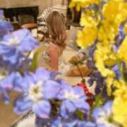 ヒメ日記 2024/12/19 17:10 投稿 ヒビキ いたずらバニーちゃん